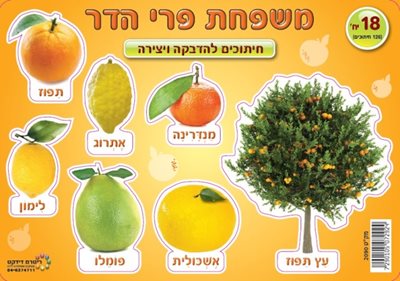 משפחת פרי הדר חיתוכים להדבקה